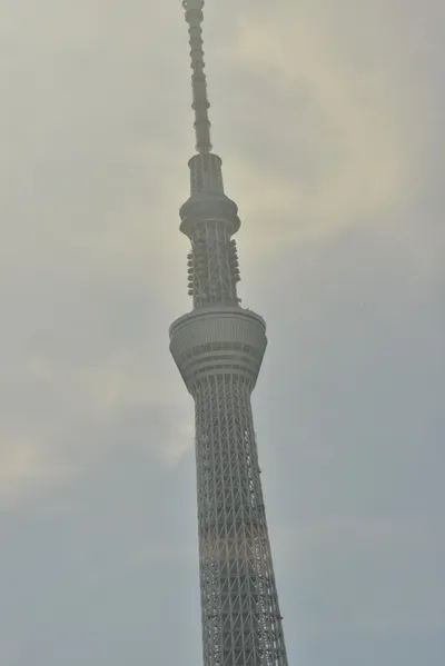 DSC_3819 (Large).JPG